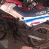 PUCH CONDOR