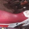ASIENTO Y PORTABULTOS DERBI FDS SAVANNAH - Image 2