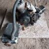 MOTOR COMPLETO RIEJU RS1 74CC