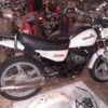 CAGIVA ALETTA ELECTRA 125CC - Image 2