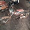DUCATI 48 - Image 2