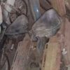 TORROT 49CC - Image 3