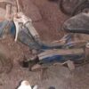 TORROT 49CC - Image 5
