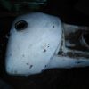 deposito puch condor - Image 2