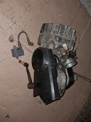 motor completo 100×100 para puch condor, encendido electronico, carburacion